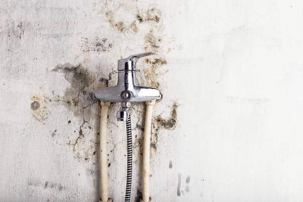 Best Mold Testing and Removal  in Valley Mills, TX