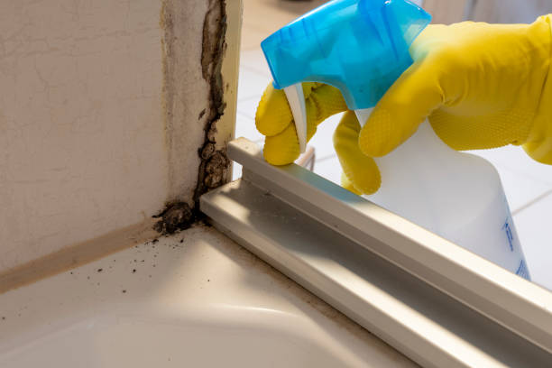 Best Mold Remediation  in Valley Mills, TX