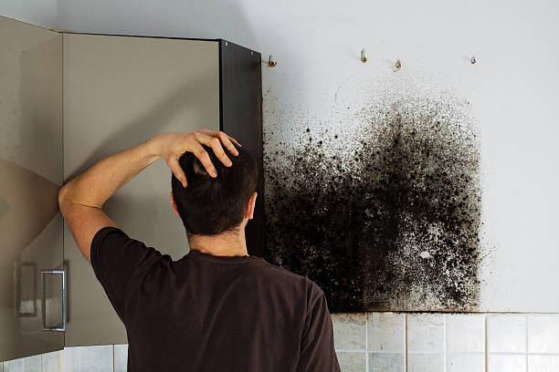 Crawl Space Mold Removal in Valley Mills, TX